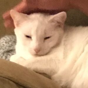 Meet your Posher, Clara